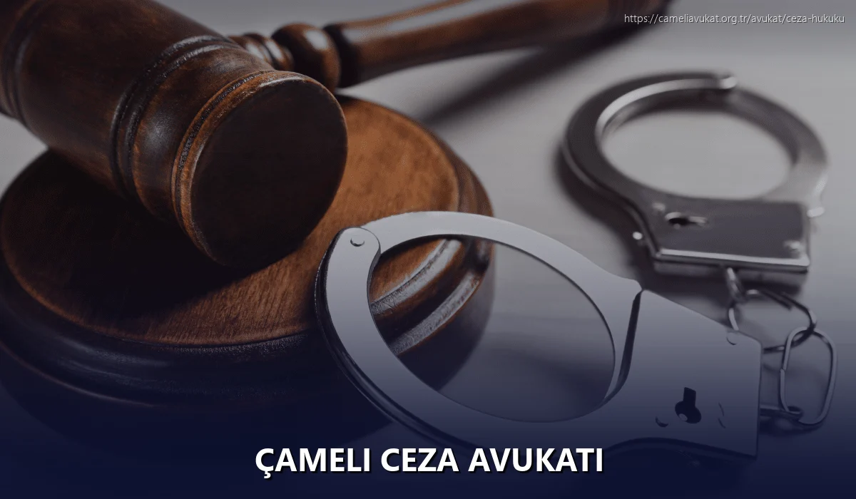 Çameli Ceza Avukatı