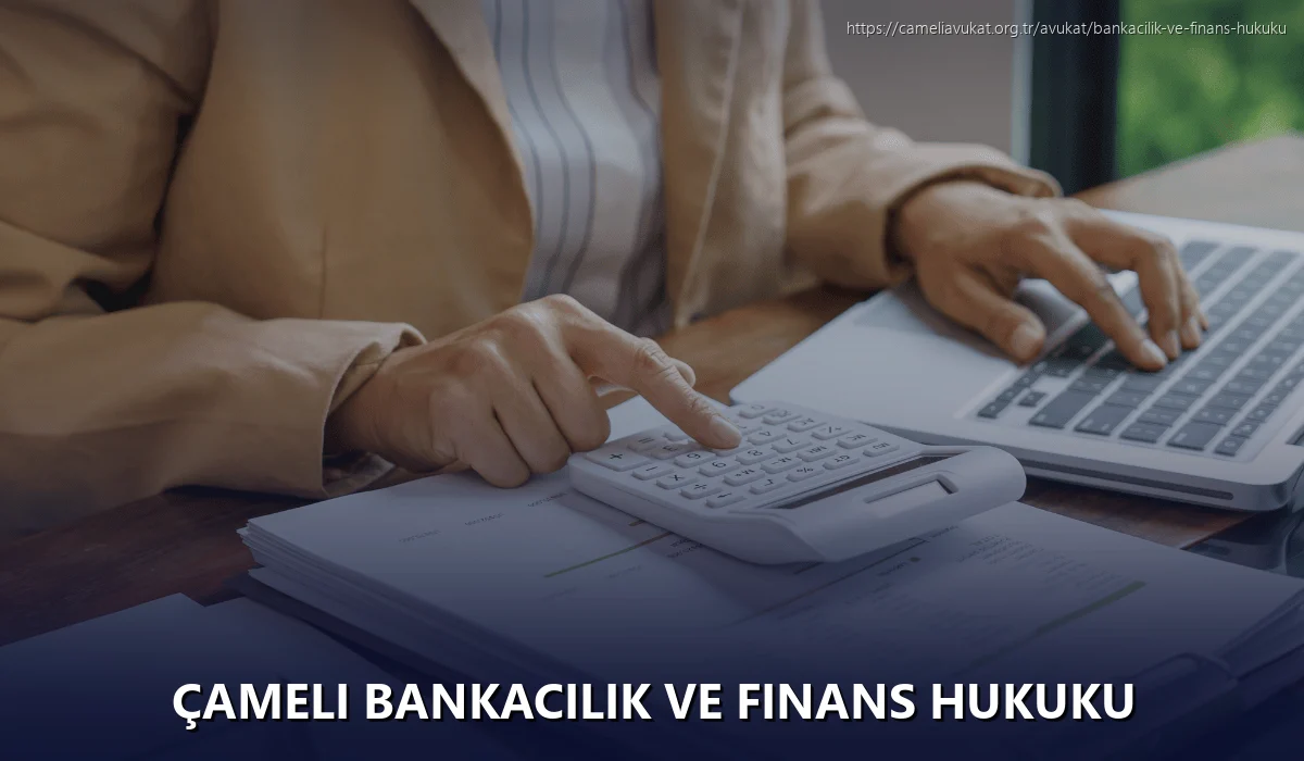 Çameli Bankacılık ve Finans Hukuku