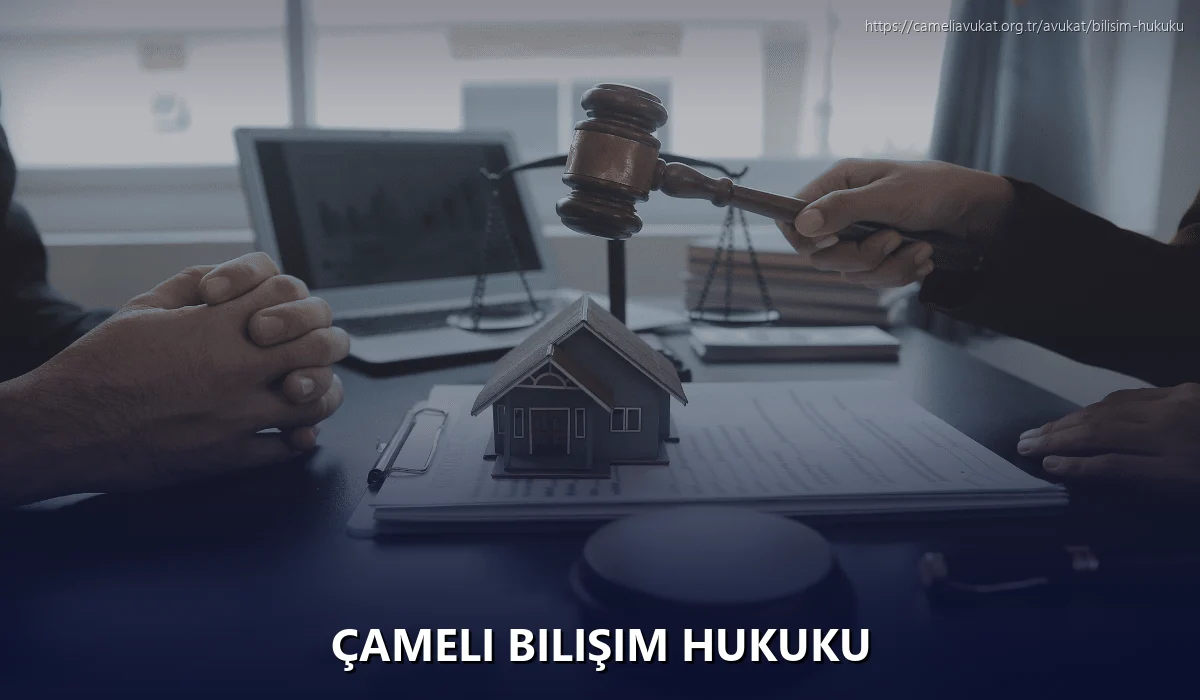 Çameli Bilişim Hukuku