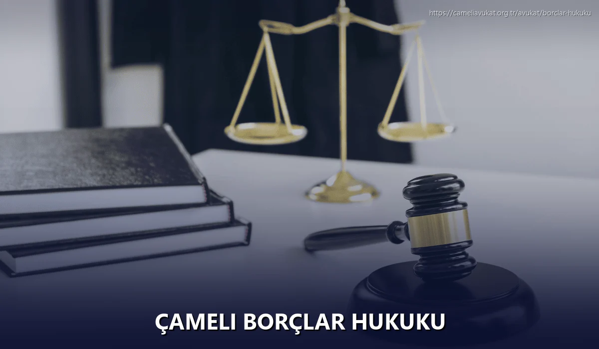 Çameli Borçlar Hukuku