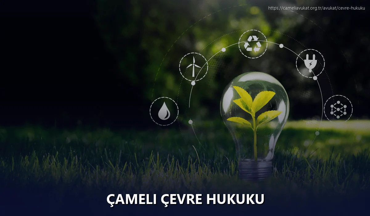 Çameli Çevre Hukuku