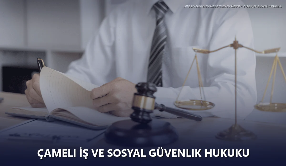 Çameli İş ve Sosyal Güvenlik Hukuku