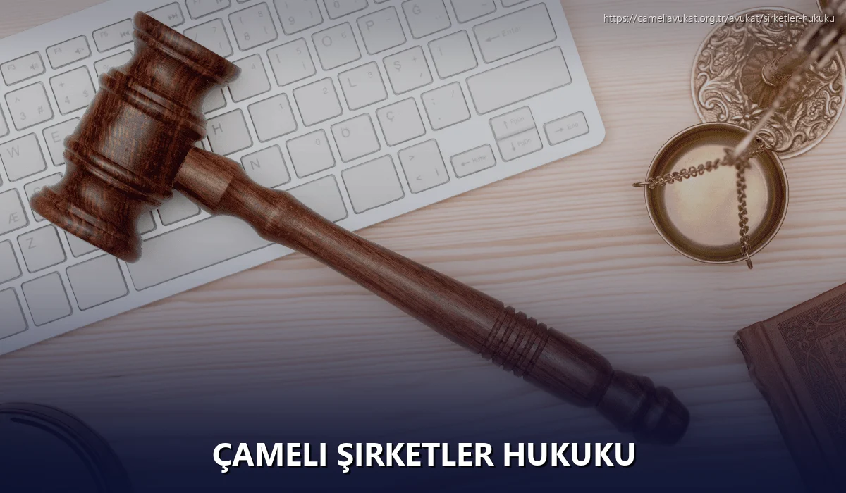 Çameli Şirketler Hukuku