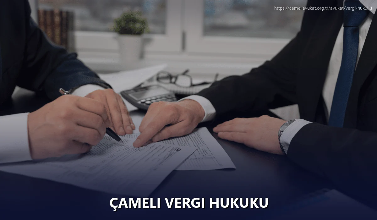 Çameli Vergi Hukuku